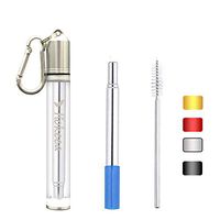 Hokeea Reusable Straw with Transparent Slim Case,Silicone Tip and Keychain,Portable Folding Stainless Steel Drinking Straws,Collapsible Metal Travel Straw(Silver)
