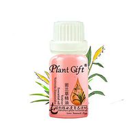 Plant Gift Bay Laurel Leaf Essential Oil Best Therapeutic Grade Essential Oil Boost Mental Alertness, Fight Fatigue - Premium Quality - Best For Aromatherapy 10 ml (1/3 oz). 
