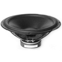 Peerless by Tymphany 830669 12" Paper Cone SLS Subwoofer