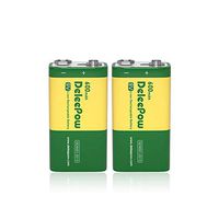 Deleepow 9V Lithium Battery 600mAh High Capacity Rechargeable 9V Batteries with Long Lasting Service Time, 2 Packs