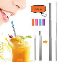 Reusable Collapsible Straw, Telescopic Stainless Steel Straw with Case Keychain, 1 Pack