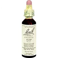 BACH FLOWER ESSENCES Flower Essence Elm 20 ML by Bach