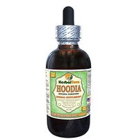 Hoodia (Hoodia Gordonii) Glycerite, Dried Plant Alcohol-Free Liquid Extract (Brand Name: HerbalTerra, Proudly Made in USA) 2 fl.oz (60 ml)