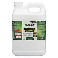 RMR-86 Instant Mold Stain & Mildew Stain Remover (2.5 Gallon)