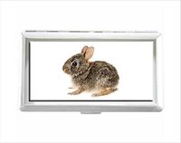 Baby Cottontail Bunny Rabbit Design Unisex Stainless Steel Cigarette Holder Case Protection Credit Business Card Storage Box Pocket/Wallet