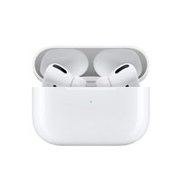 Libobo Dust Guard Metal Protective Sticker Compatible with AirPods Pro Bluetooth Earphones (Silver)