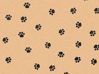 PAW Print Kraft Animal Print Gift Grade Tissue Paper Sheets 15" x 20" Pack of 5BHND-0504