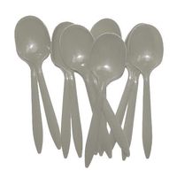 Silver Plastic Spoons (48)