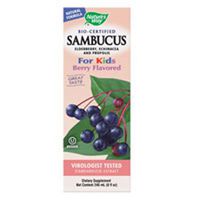 Nature's Way, Original Sambucus for Kids, Standardized Elderberry, 4 fl ounces. Pack of 2