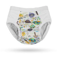 Protective Brief Adult Cloth Diaper for Mild to Severe Incontinence: Reusable Waterproof Underwear for Men & Women (Small, Garden Snail)