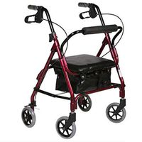 Lightweight Folding Four Wheel Rollator Walker with Padded Seat, Lockable Brakes, Ergonomic Handles, and Carry Bag, Limited Mobility Aid
