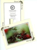 Pinecone Season's Greetings - 4x6 Photo Insert Note Cards - 24 Pack by Plymouth