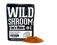 Lion's Mane Mushroom Extract 10:1 Superfood Powder by Wild Foods | Fruiting Bodies Only | Adaptogenic Nootropic Herb for Focus, Memory and Health (4 Ounce)