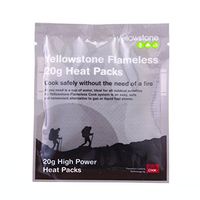 Flameless 10pk 20g Heating Pack
