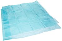 Amscan 378060 Solid Aqua Basket Bags, 24" x 25", Blue
