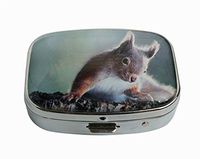 XingBoo Squirrel in a Tree Custom Square Silver Western Medicine Tablet Pocket Travel Pill Case Vitamin Glass Decorative Box