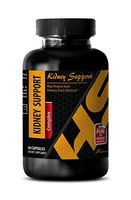 antiaging - Kidney Support Complex - nettles Capsules - 1 Bottle (60 Capsules)