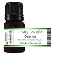 Galangal Essential Oil (Kaempferia Galangal L) 100% Pure Therapeutic Grade - 5 ML
