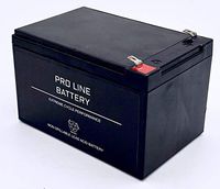 PRO12120-F2 Rechargeable Sealed Lead Acid 12 Volt 12 Amp Hour Battery with .250 inch F2 Terminals by Pro Line Battery