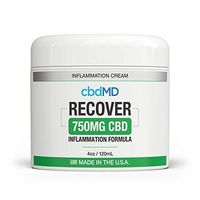 750 mg Organic Recovery Cream Pain Relief Lotion Arnica Msm B6 Joint Pain Muscle Aches Arthritis Inflammation Skin Support U.S. Grown Hemp