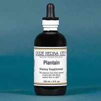 Pure Herbs, Ltd. Plantain (4 oz.)