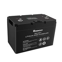 Renogy 100 Ah BMS 12V 100Ah Smart Lithium Iron Phosphate Battery