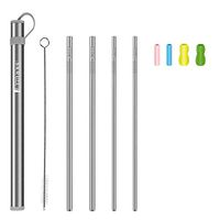 SKRLIFE Metal Straw Set with Case | 4 Stainless Steel Reusable Straws 8.5 inches | 1 Washable Portable Metal Carrying Case | 1 Cleaning Brush | Eco-Friendly (4 Silver)