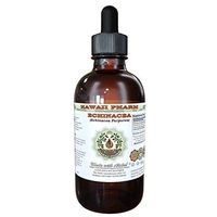 Echinacea Alcohol-Free Liquid Extract, Echinacea (Echinacea Purpurea) Dried Root Glycerite Hawaii Pharm Natural Herbal Supplement 2 oz