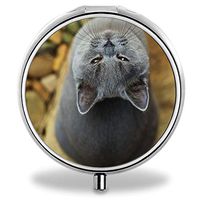 IMLONE Pill Organizer, Customized British Shorthair Cat Pill Boxes with 3 Components and Mirror for Travelling and Daily Needs