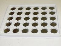 Titan CR1620 ECR1620 CR 1620 3v Lithium Coin Cell Battery Batteries 100 Pieces