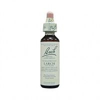 Dr Bach Larch Bach Flower Remedy 10ml