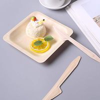 Efavormart 500 Pcs - Environmentally Friendly Disposable 6" Birch Wood Dinnerware Throw Away Green Party Knives