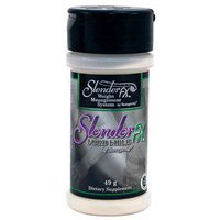 SLENDER FX FOOD FIBER - 49 GM SHAKER - 6 Pack