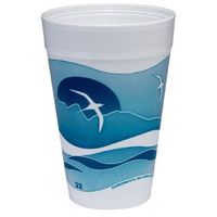 DCC32TJ32H - Horizon Foam Cup, Hot/Cold, 32 Oz, Printed, Aqua/White, 25/Bag