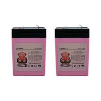 Charity Battery 6 Volt 6V 4.5AH Rechargeable Deer Game Feeder Batteries - 2 Pack