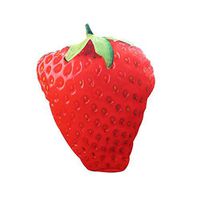 Meidexian888 3D Pillow,3D Funny Strawberry Shape Digital Print Comfort for Home Decoration