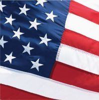 Home Of The Brave Lunch Napkins