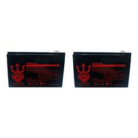 Currie e-Ride 16 12V 12Ah Replacement Electric Scooter Battery by Neptune - 2 Pack