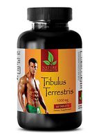 Muscle Enhancer for Men - TRIBULUS TERRESTRIS Extract 1000mg - Tribulus terrestris Powder - 1 Bottle 60 Tablets