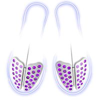 EnviroHygiene - UV Shoe Sanitizer - Dual Shoe Disinfecting/Anti-Fungal/Sterilizer/Deodorize