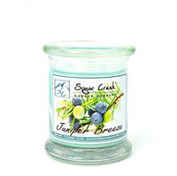 Juniper Breeze (Better Than Bath and Body)-100% Soy Wax Candle. Soy Candles Burn Cleaner ~ Longer ~ Non-Toxic ~ The Original 100% Yinzer Made in USA. Gift for Any Occasion