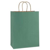 BagDream Gift Bags 10x5x13, Green Stripes Kraft Paper Bags 25Pcs Shopping Bags, Mechandise Bags, Retail Bags, Party Bags, Paper Gift Bags with Handles, 100% Recycled Paper Bags