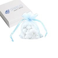 Sparkles Make It Special 100-pack 4"x6" Light Blue Organza Wedding Favor Bags - Party Decoration Gift Pouches - 22 Colors
