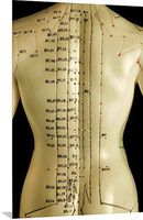 GREATBIGCANVAS Chinese Acupuncture Model Metal Wall Art Print, 20"x30"