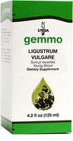 UNDA Gemmo Therapy - Ligustrum Vulgare - Privet Young Shoot Extract - 4.2 fl. oz.