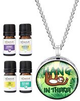 Wild Essentials Hang In There! Essential Oil Diffuser Necklace Gift Set Aromatherapy Pendant, 24" Stainless Steel Chain, Refill Pads and 100% Pure Oils (Lavender, Peppermint, Inner Calm and Zen)