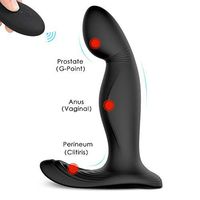 Rechargeable Vibrating Stimulator Plug 9 Stimulation Patterns, Male Postate Massager for Man Wireless Remote Control
