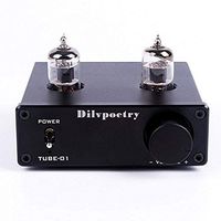 Dilvpoetry TUBE-01 Preamp 6J1 Vacuum Tube Amplifier Buffer Mini HiFi Preamplifier DC12V2A (Black)
