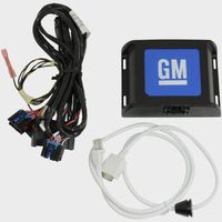 OEM GM Personal Audio Link Pal For US8 or US9 Factory Radio 19201522 by General Motors