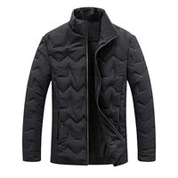 Alvinm Men's Jacket Solid Warm Zipper Long Sleeve Jacket Coat Outwear Tops Black